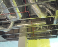 DSC01711.JPG