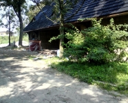 DSC01415.JPG