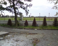 DSC01649.JPG