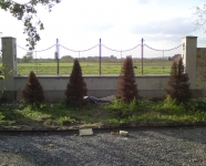DSC01652.JPG
