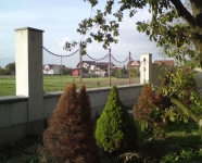 DSC01653.JPG